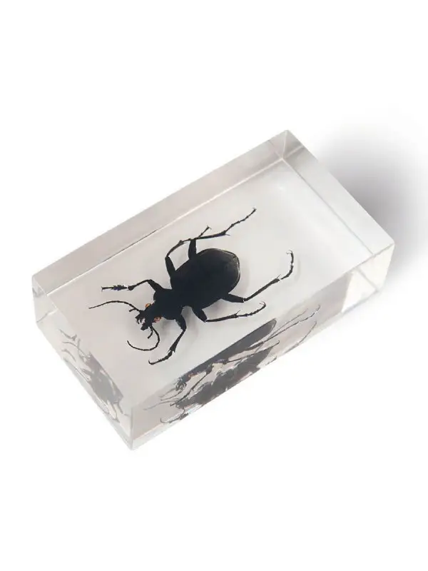 Журнал №37 "Настоящие насекомые" (Красотел)