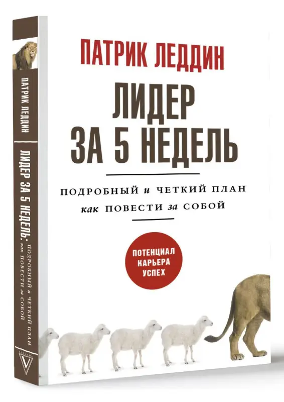 Лидер за 5 недель. Подробный и четкий план как повести за собой