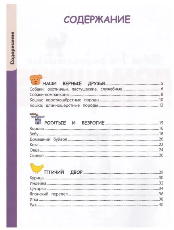 Александра Смирнова: Домашние животные