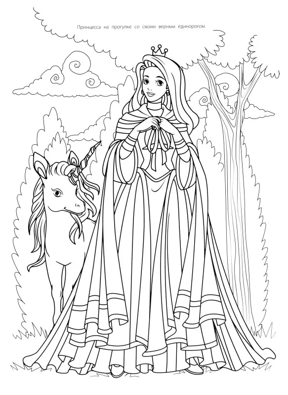 Мегараскраска. Принцессы и единороги