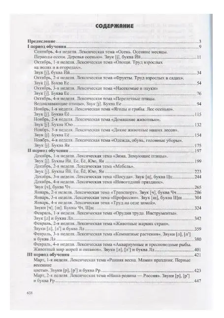 Конспекты подгрупповых логопедических занятий в группе компенсир. направленности ДОО… (6-7л.) (+DVD)