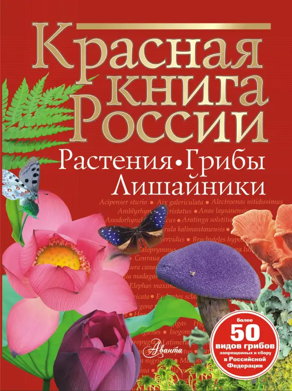 Пескова Ирина Михайловна: Красная книга России. Растения. Грибы. Лишайники