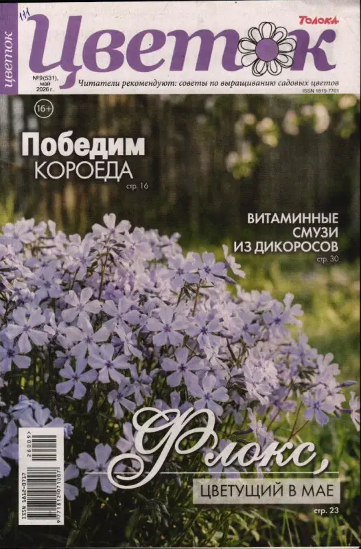 Цветок 09/26