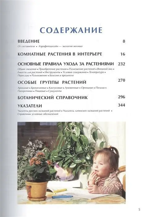 Уценка. Фитодизайн: Энциклопедия комнатных растений