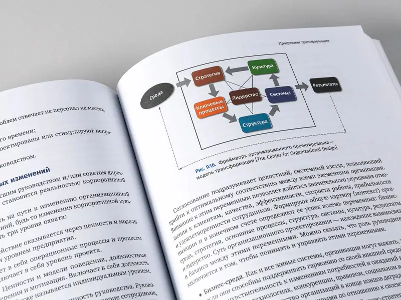 Уценка. Бенедикт Тони: Свод знаний по управлению бизнес-процессами BPM CBOK 4.0
