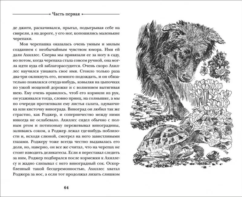 Уценка. Даррелл Дж. Моя семья и другие звери