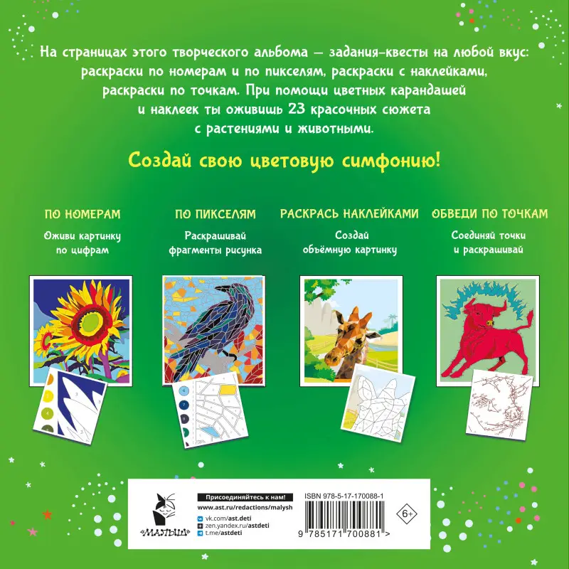 Уценка.Цветовая симфония. Раскрась наклейками, по номерам, по пикселям, обведи по точкам
