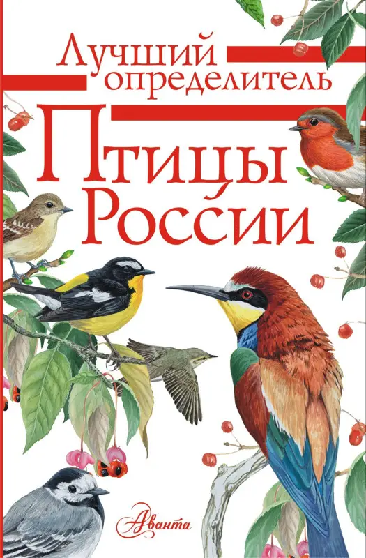 Мосалов Алексей Александрович: Птицы России
