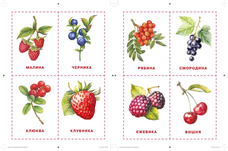 Уценка. Карточки для нейротренировки по методике Гленна Домана: с 6 месяцев