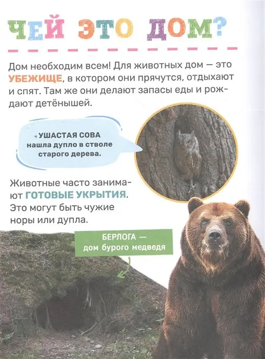 Уценка. Животные. Первая энциклопедия малыша