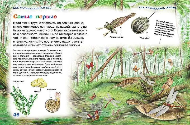 Новая энциклопедия для любознательных