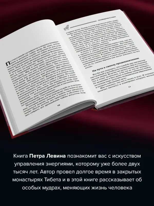 Левин Петр: Все мудры, исполняющие желания, в одной книге. Научись управлять вибрациями Вселенной
