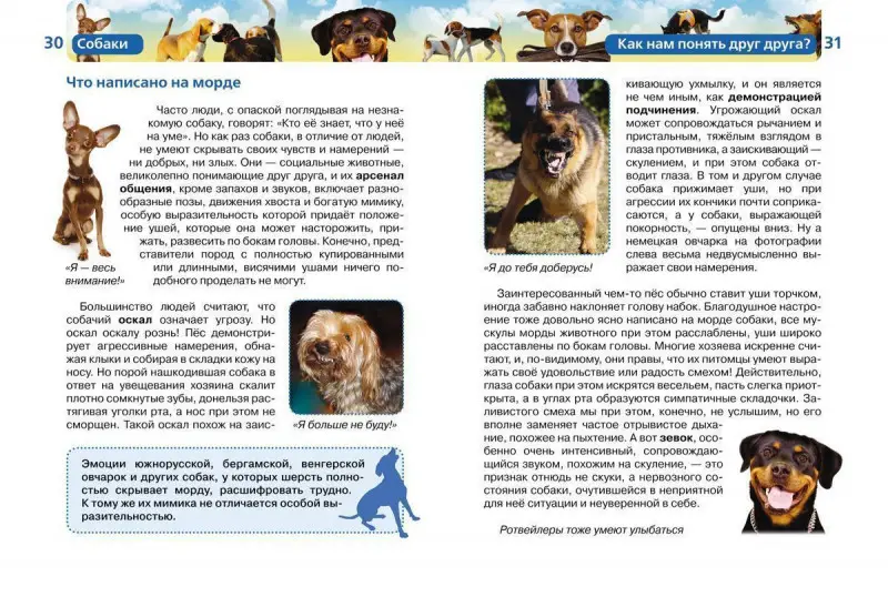 Уценка. Собаки. Детская энциклопедия Росмэн