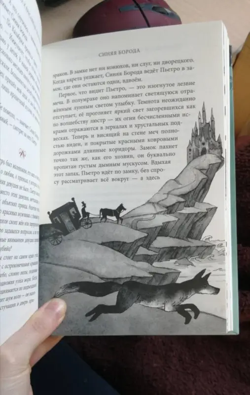 Уценка. Соман Чайнани. Чудовища и красавицы. Опасные сказки