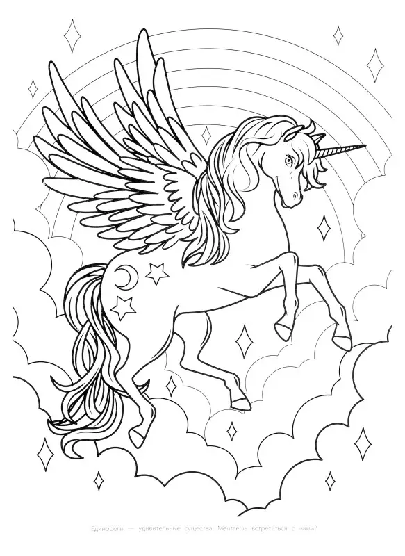 Мегараскраска. Принцессы и единороги