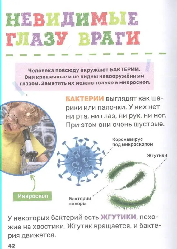 Тело человека. Первая энциклопедия малыша