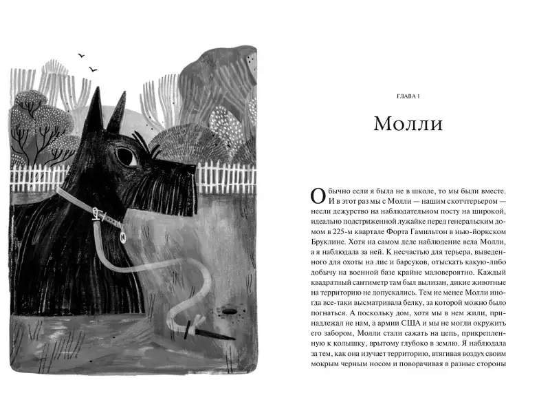 Монтгомери Сай. Те, кто делает нас лучше: 13 животных, которые помогли мне понять жизнь
