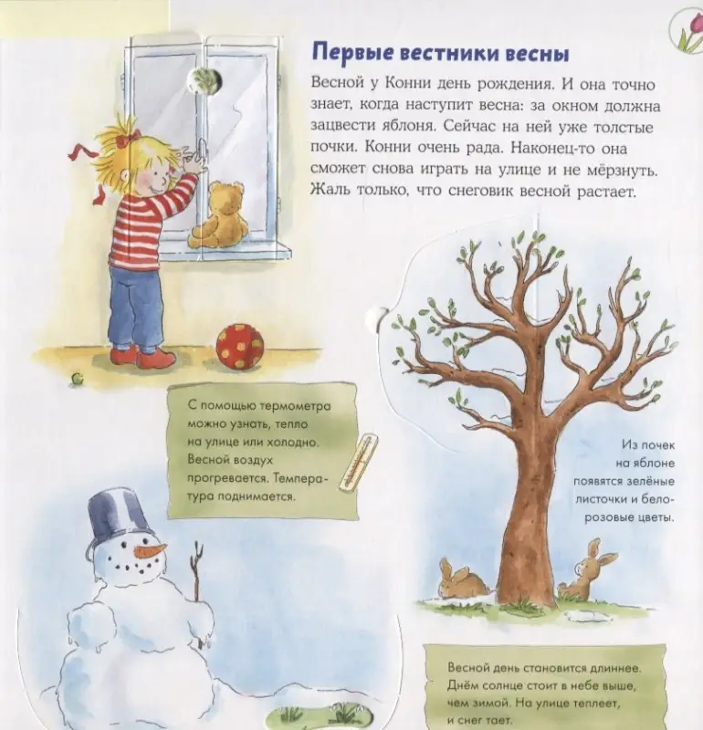 Шнайдер Лиана. Времена года с Конни (книга с окошками)