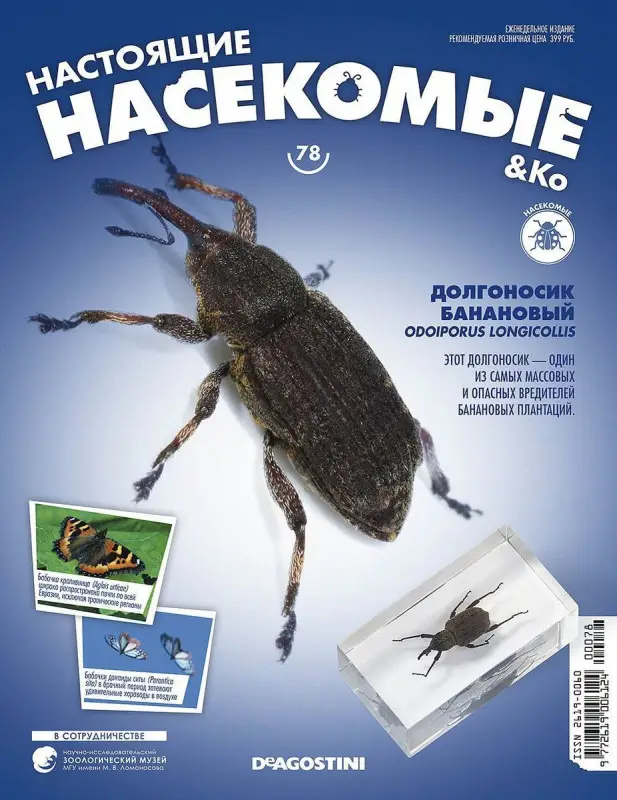 Журнал № 78 "Настоящие насекомые" (Долгоносик банановый )