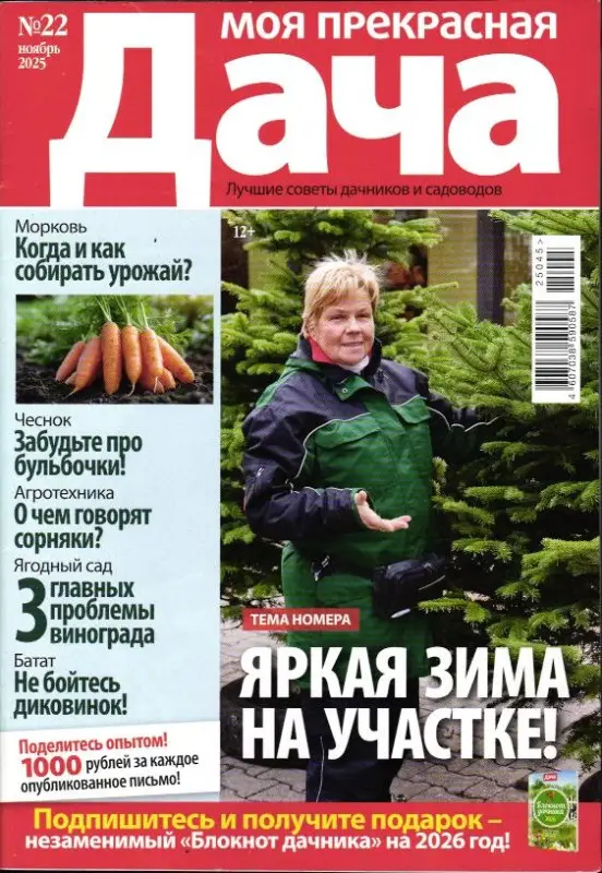 Моя Прекрасная Дача 22/25