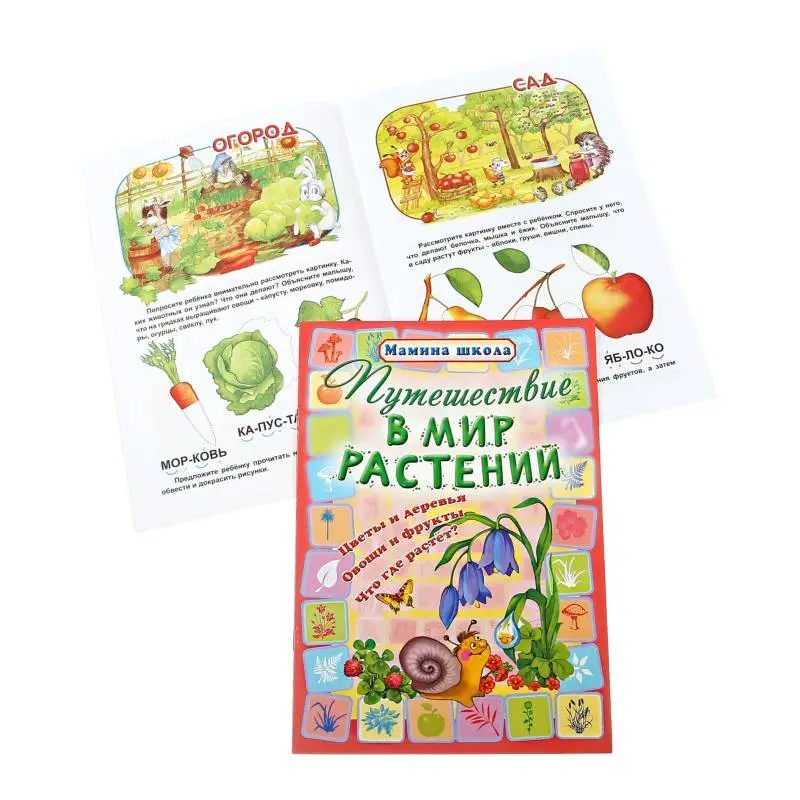 МШ.ПУТЕШЕСТВИЕ В МИР РАСТЕНИЙ цветы и деревья, овощи и фрукты, что где растет? (Захарова О. сост.)