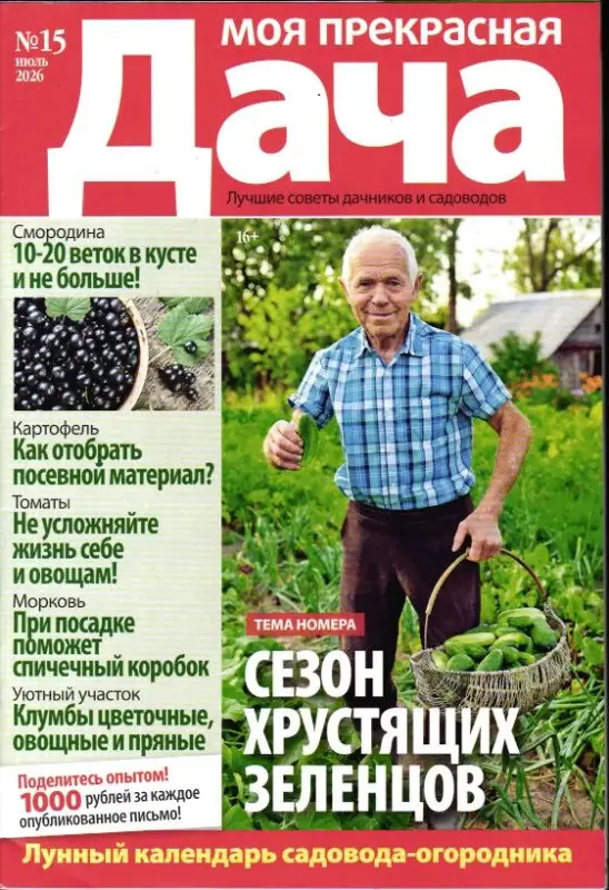 Моя Прекрасная Дача 15/26