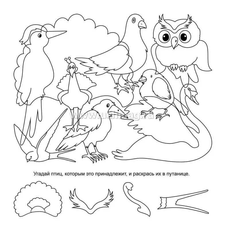 Путаница. Умная раскраска