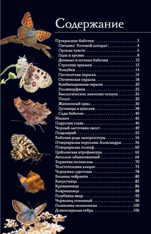 Спектор Анна Артуровна: Бабочки. Иллюстрированный гид