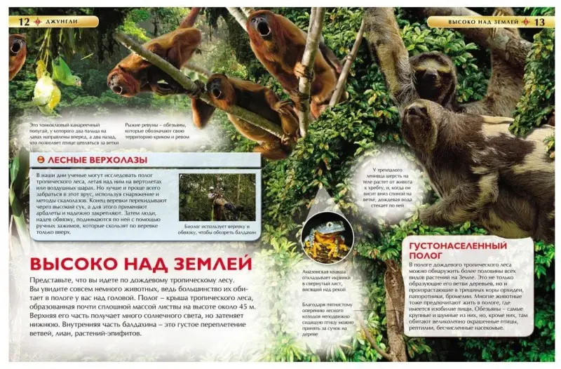 Уценка. Джунгли. Детская энциклопедия