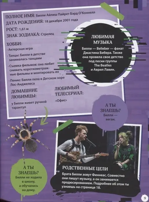 Мы любим Билли Айлиш. Жизнь. Музыка. История. Неофициальный фанбук