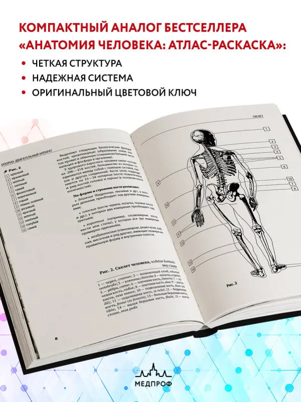 Ю. В. Боянович. Анатомия человека: компактный атлас-раскраска