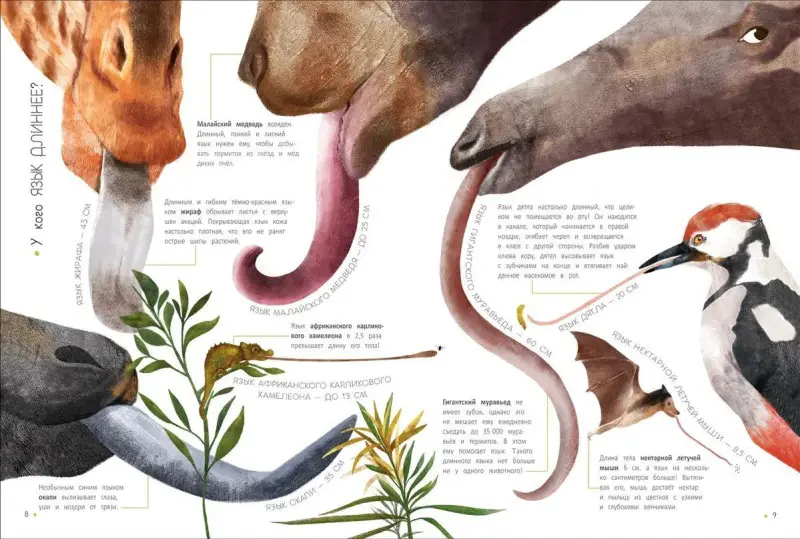 Животные в метрах и миллиметрах