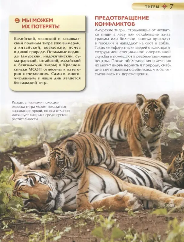 Уценка. Красная книга. Детская энциклопедия