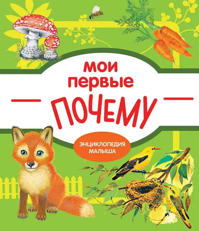 Е. Колузаева: Мои первые почему?