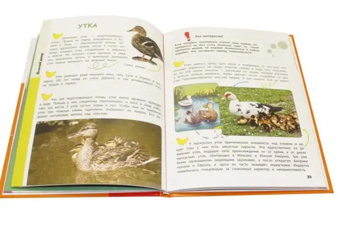 Александра Смирнова: Домашние животные