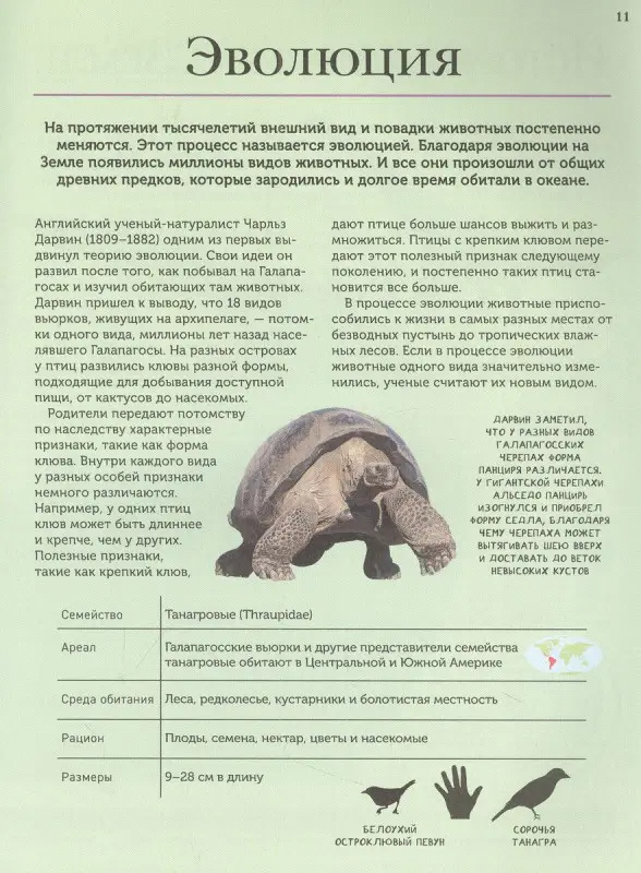 Уценка. Животные. Современная энциклопедия