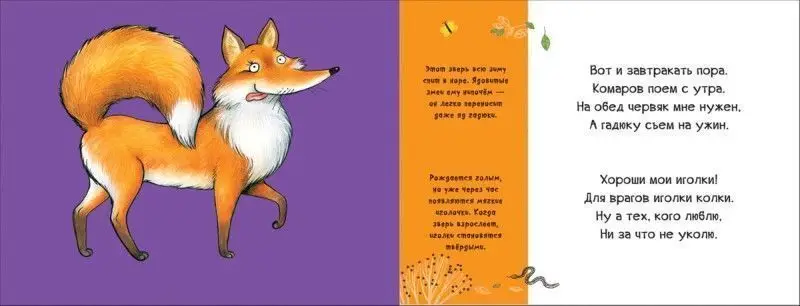 В лесу. Смешные половинки