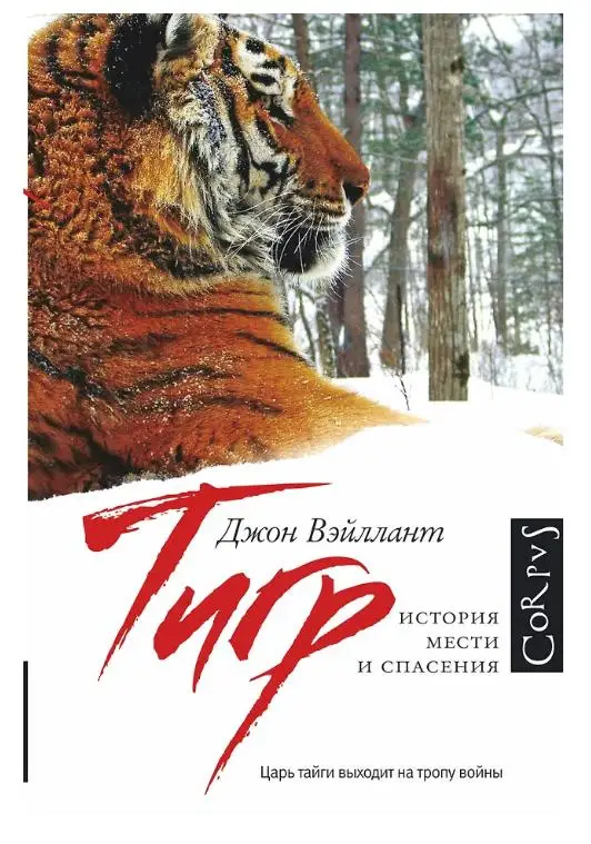 Уценка. Тигр. История мести и спасения