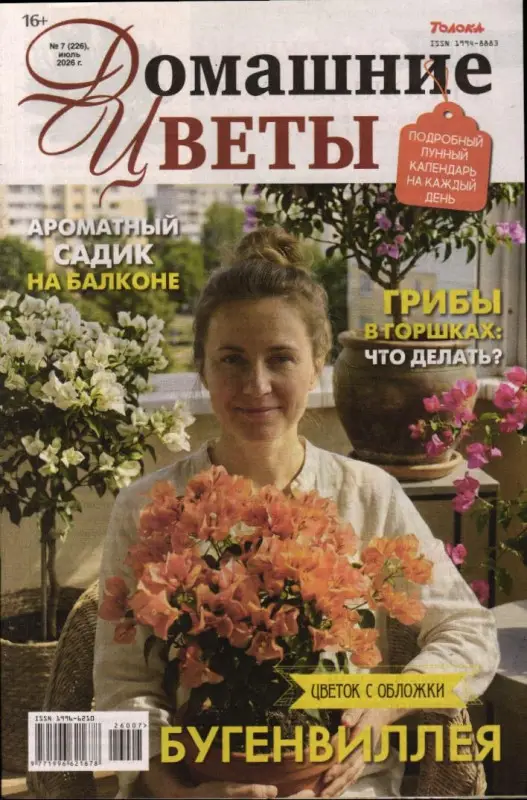 Домашние цветы 07/26