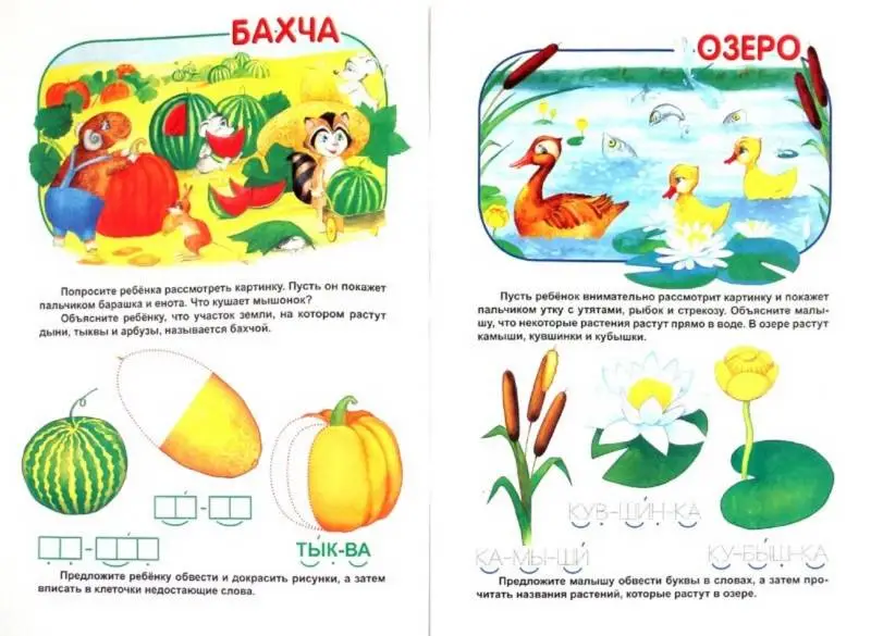 МШ.ПУТЕШЕСТВИЕ В МИР РАСТЕНИЙ цветы и деревья, овощи и фрукты, что где растет? (Захарова О. сост.)