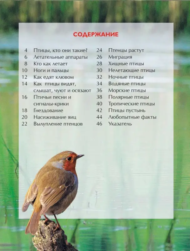Уценка. Птицы. Детская энциклопедия