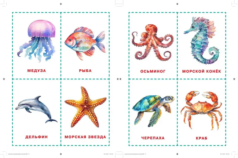 Уценка. Карточки для нейротренировки по методике Гленна Домана: с 6 месяцев