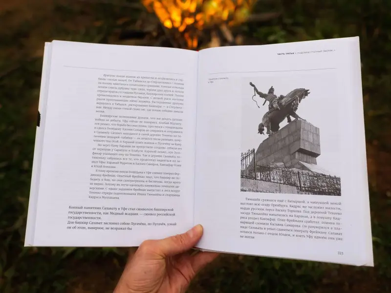 Иванов Алексей Викторович: Вилы