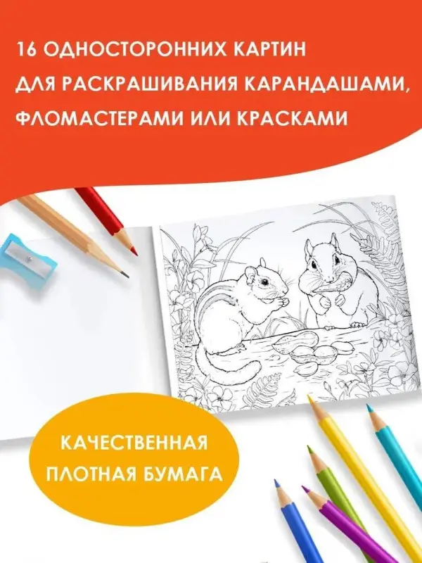 Мир вокруг. Альбом для раскрашивания