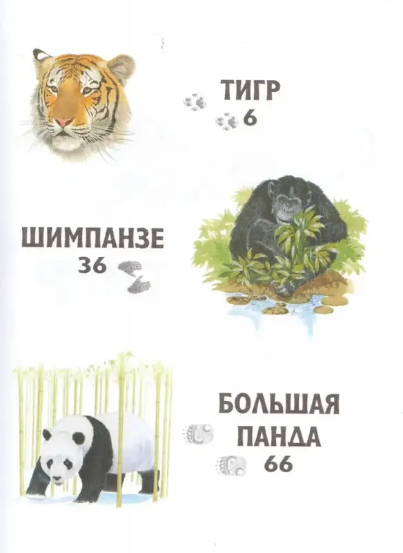 Прогулка по зоопарку. Джонсон Джинни