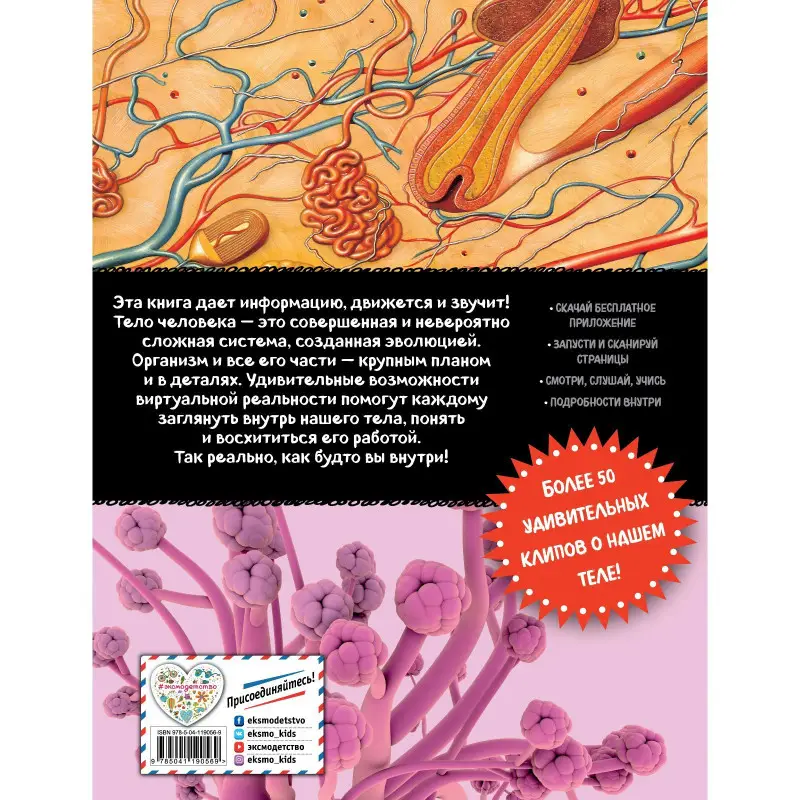 Тело человека. Виртуальная реальность