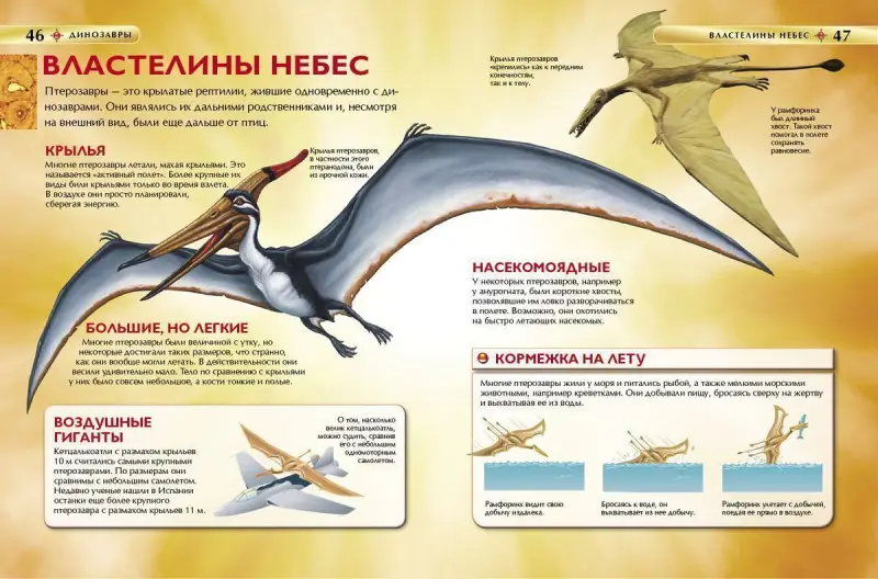 Уценка. Динозавры. Детская энциклопедия