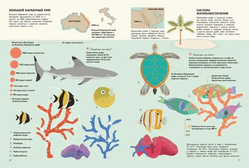 Уценка. Подводный мир. Визуальный гид