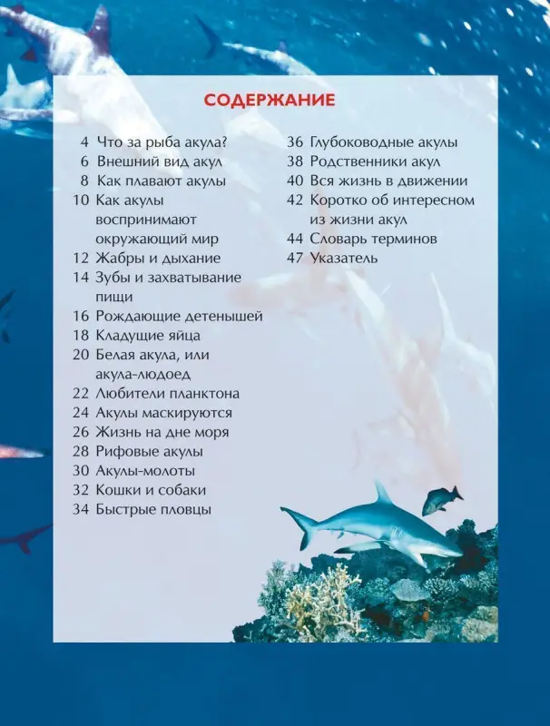 Уценка. Акулы. Детская энциклопедия