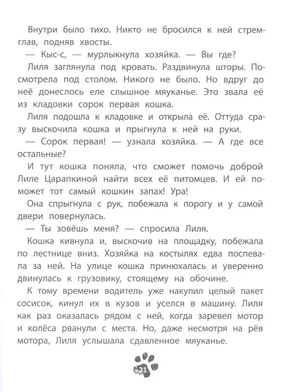 41-я кошка дп
